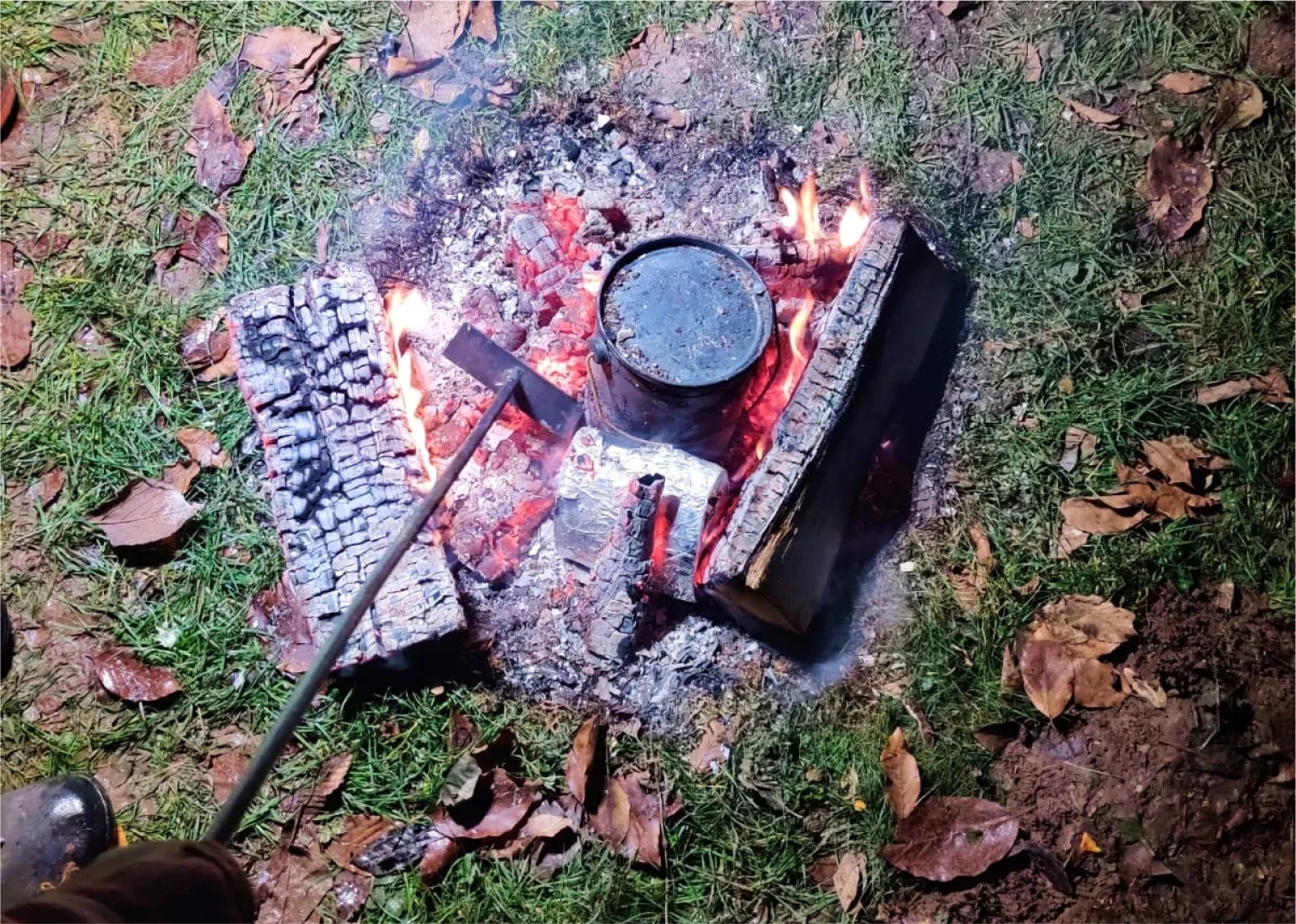 birch bark in the fire